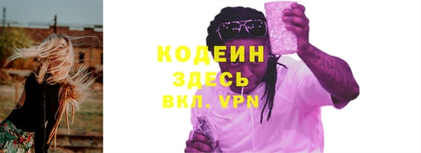 индика Осташков