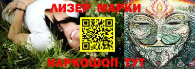 шишки Усть-Илимск