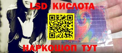 шишки Усть-Илимск