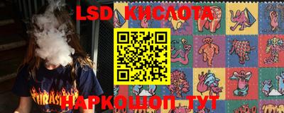 шишки Усть-Илимск