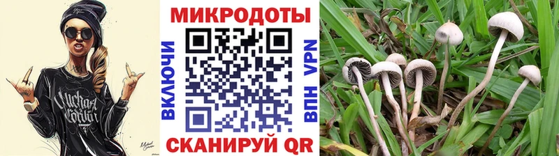 Псилоцибиновые грибы Magic Shrooms  продажа наркотиков  Муравленко 