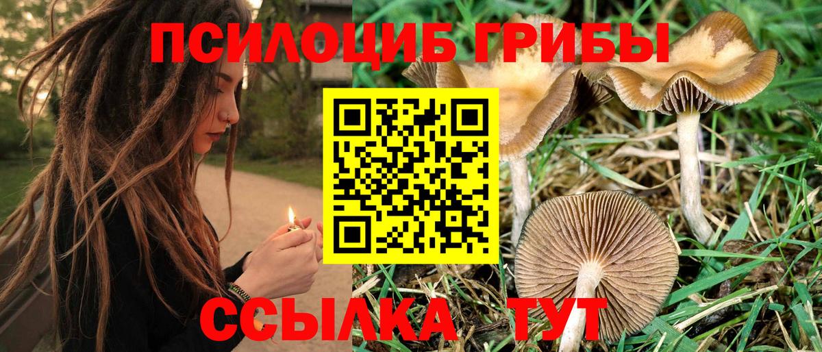 Псилоцибиновые грибы Psilocybe  Галлюциногенные грибы ЛСД  Вход с VPN  Муравленко 